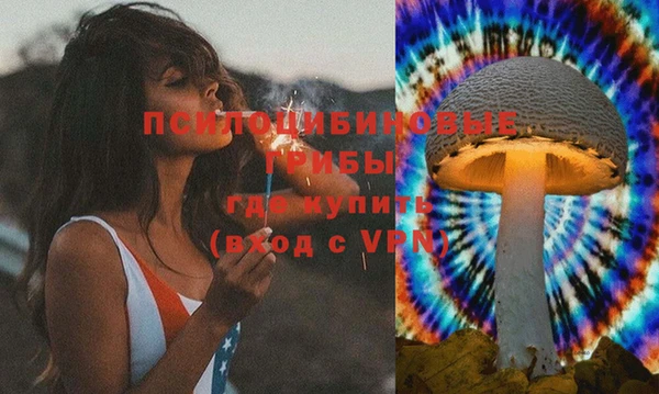 амф Алексин