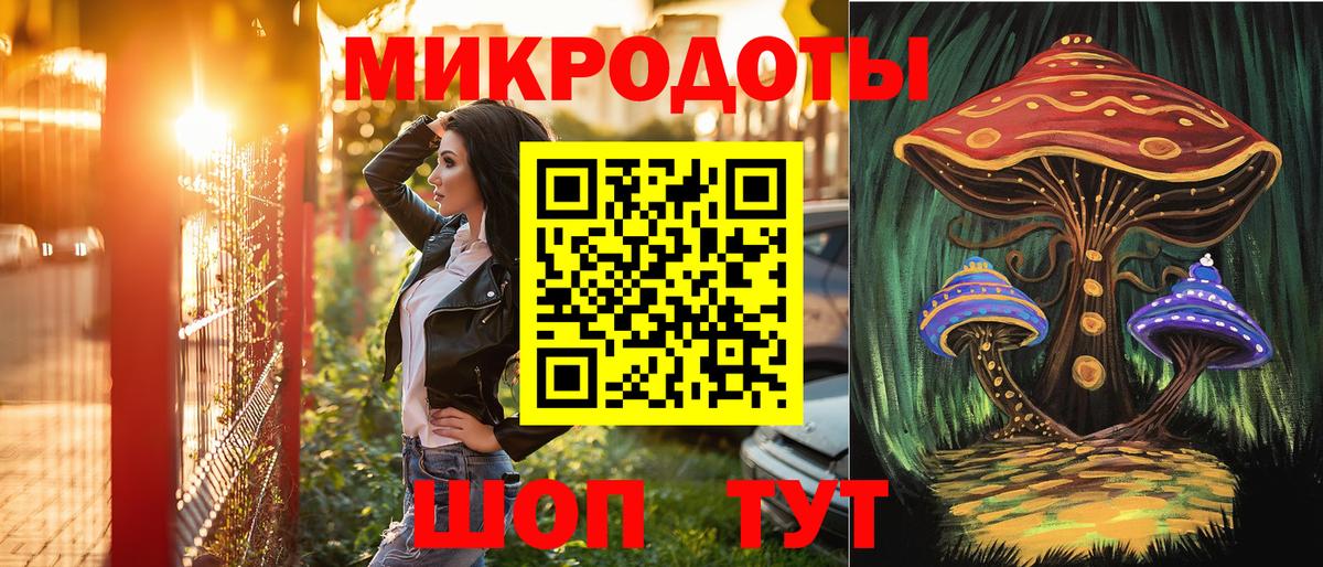 Псилоцибиновые грибы Psilocybe Касимов